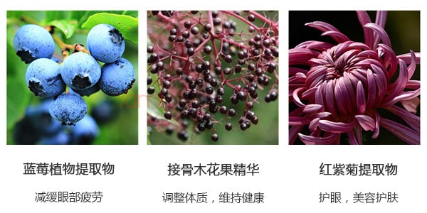 日本POLA 藍莓紅紫菊精華護眼丸 60粒入