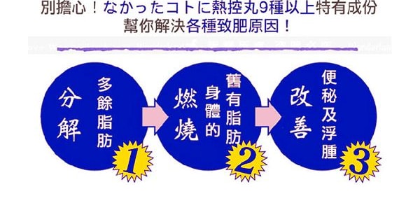 日本GRAPHICO 愛吃的秘密 脂肪消失白芸豆熱控減肥片 夜用 11.7g