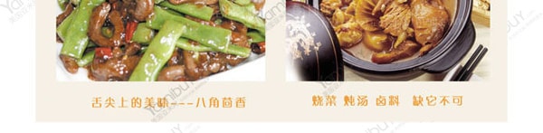 RICHIN利成 中華傳統調味料之八角 113g