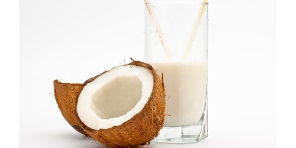 海南島 椰子汁植物蛋白飲料 不含色素防腐劑 245ml 精品版