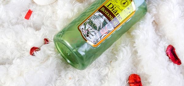 日本DIANE黛絲恩 草本植物系列 保濕潤澤無矽洗髮精 480ml