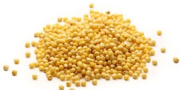 Millet décortiqué Bio, 16 oz【Certifié USDA Organic】