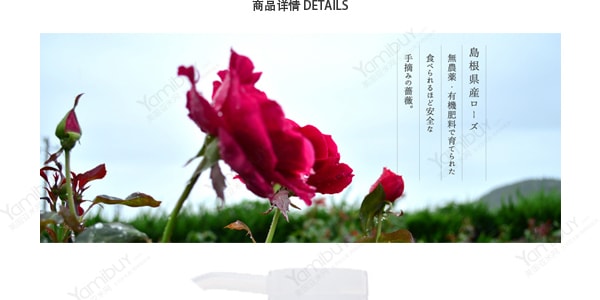 日本RINREN凛恋 纯植物不含硅滋润护发素 玫瑰&山茶 520ml