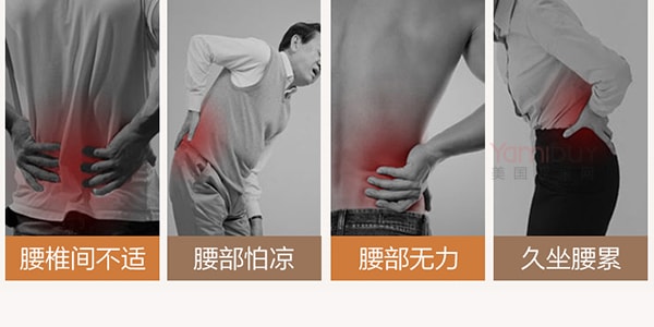 日本FELICITY 磁疗弹性护腰带 M 中号 一件入