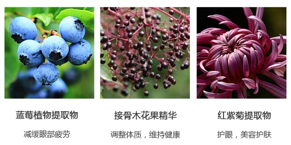 日本POLA 藍莓紅紫菊精華護眼丸 180粒入