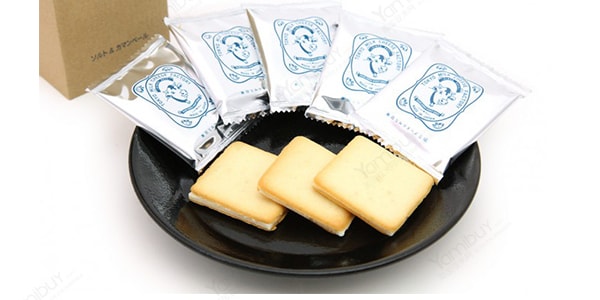 日本TOKYO MILK CHEESE FACTORY 东京牛奶芝士工厂 海盐芝士饼干礼盒 10枚入