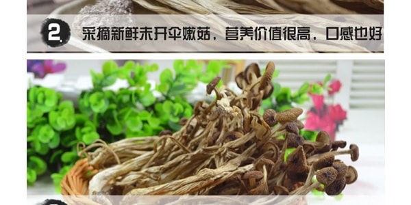 禾茵 天然優質茶樹菇 100g 四川特產