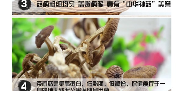 禾茵 天然優質茶樹菇 100g 四川特產