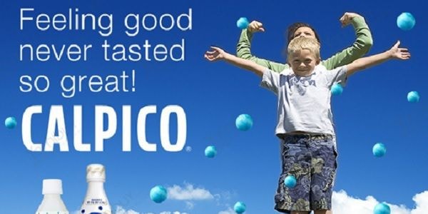 日本CALPICO 無碳酸天然乳酸菌飲 荔枝口味 500ml