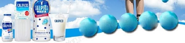 日本CALPICO 無碳酸天然乳酸菌飲 荔枝口味 500ml