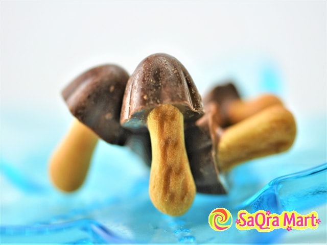 【日本直邮】 MEIJI明治 巧克力味蘑菇型饼干 74g
