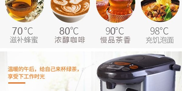 ZOJIRUSHI 【Low Price Guarantee】Micom Water Boiler And Warmer 3L, CD-WCC30,  Silver, 120 Volts - Yamibuy.com