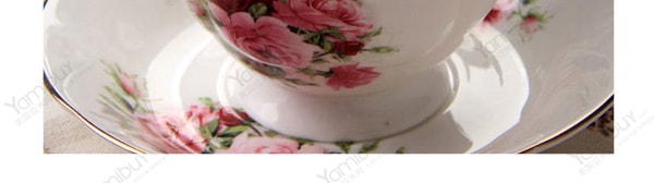 英国亚曼AHMAD TEA 水果红茶茶包 杏子味 20包入