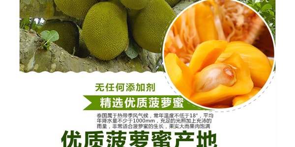 泰國GREENDAY 純天然優質菠蘿蜜乾 40g 泰國特產