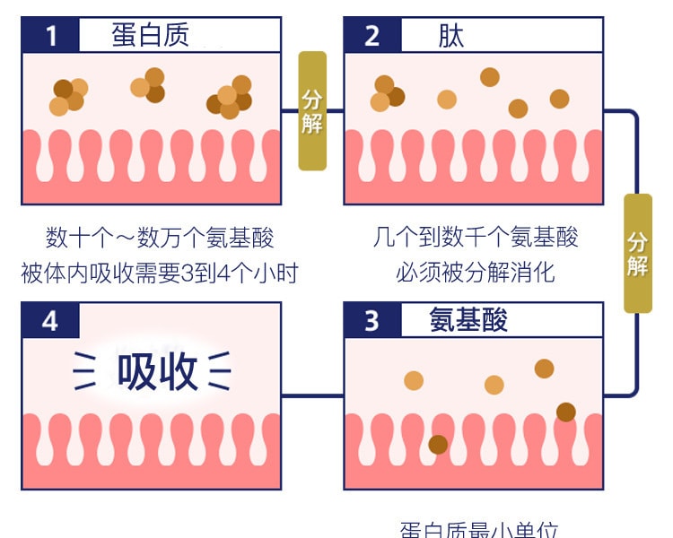 [日本直邮] 日本AJINOMOTO味之素 运动必备氨基酸补充冲剂 21条装 3gx21