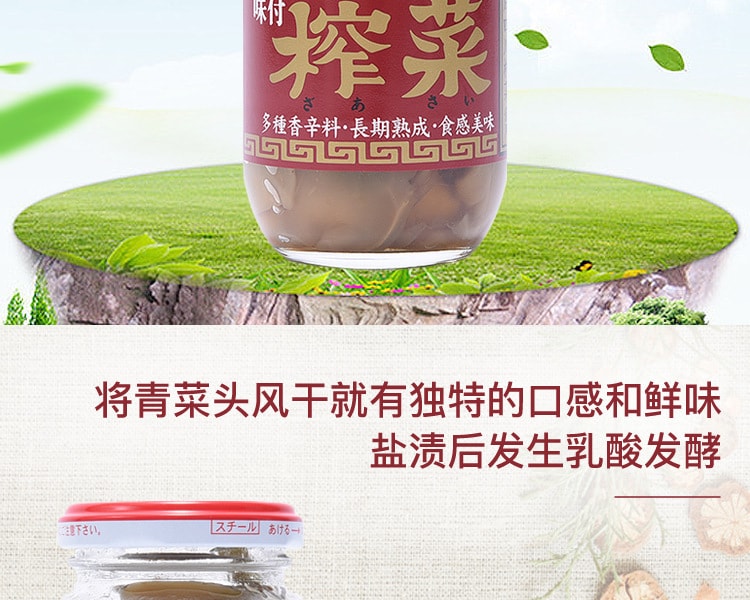 [日本直邮] 日本MOMOYA桃屋 佐味榨菜罐头 100g