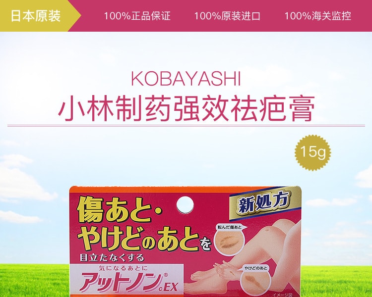 [日本直邮] 日本KOBAYASHI小林制药 强效祛疤膏 15g