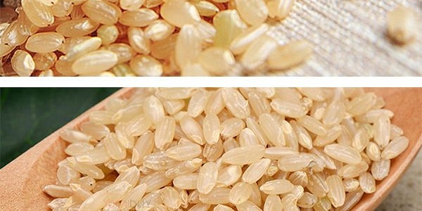 日本SUKOYAKA 玄米 2kg 糙米 【雜糧低GI】