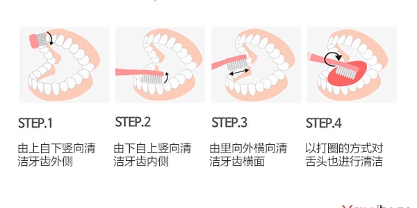 韓國LG 天然植物配方清新竹鹽牙膏 160g 保護牙齦 減少牙菌斑