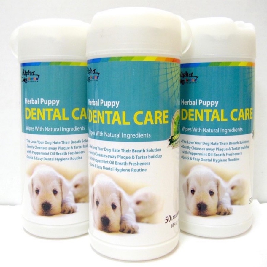 Dental Care Wipes (Pack of 3)