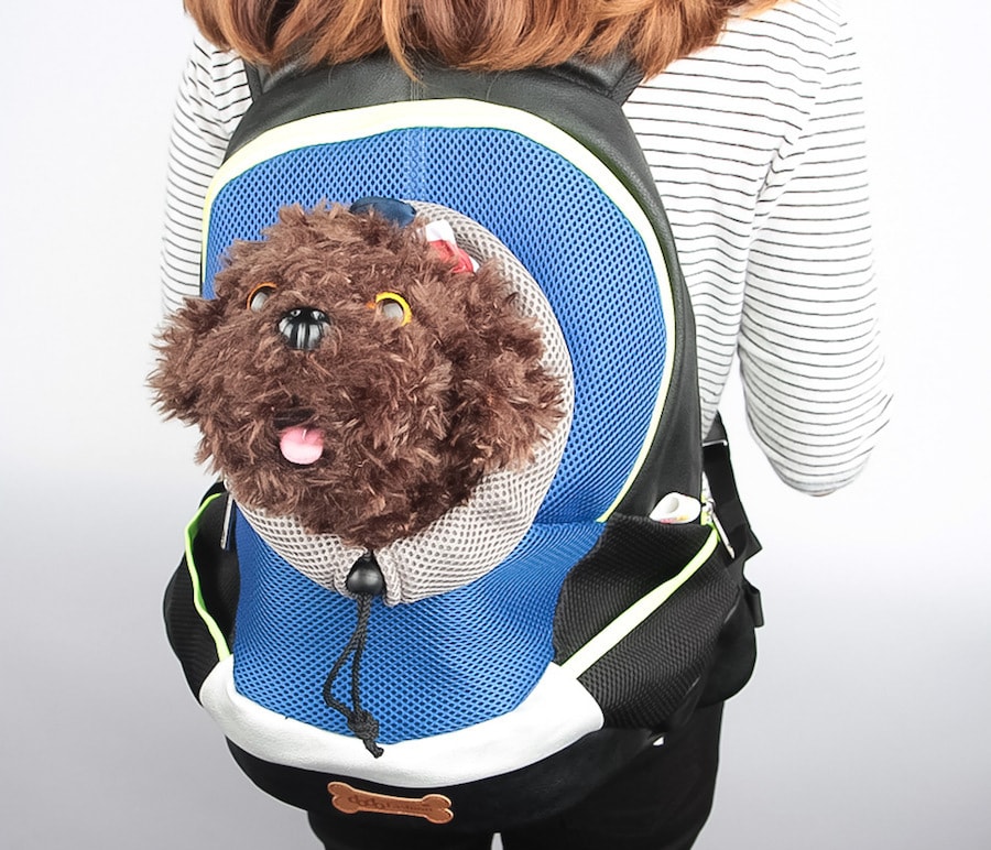 ALPHA DOG SERIES 宠物便携背包 #黑色