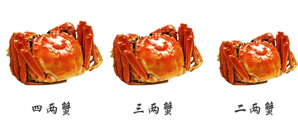 Hairy Crabs 2pc
