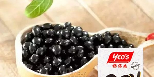新加坡YEO'S楊協成 黑豆豆奶飲料 250ml